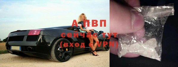 spice Абаза