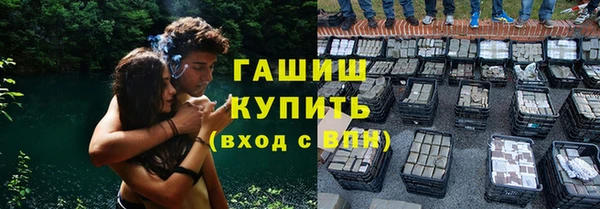 мет Алексин