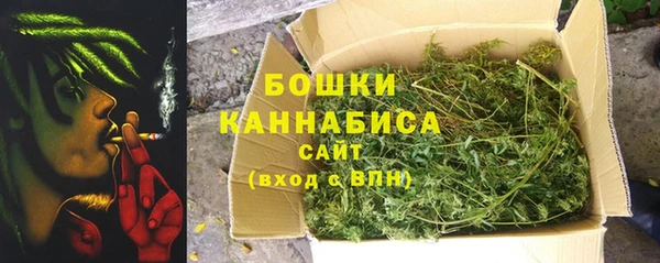 мет Алексин