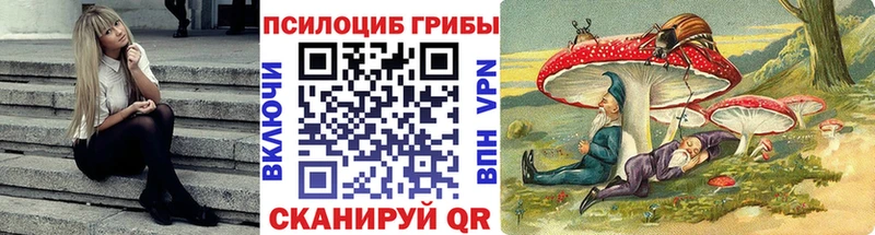 где продают наркотики  Десногорск  Галлюциногенные грибы мицелий 