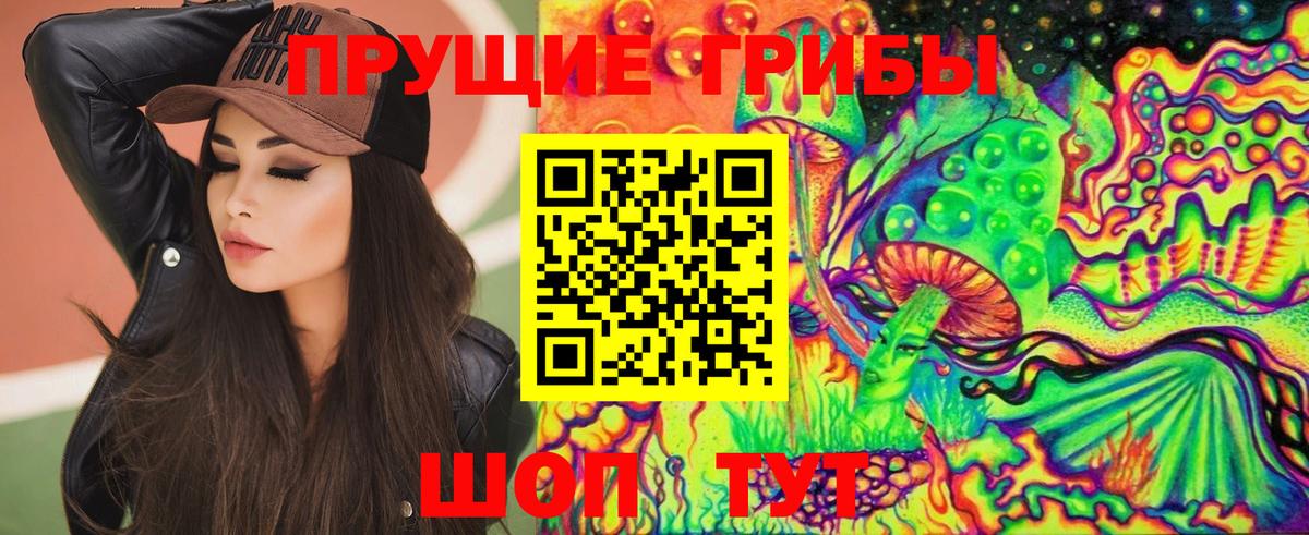 Галлюциногенные грибы Psilocybine cubensis Десногорск